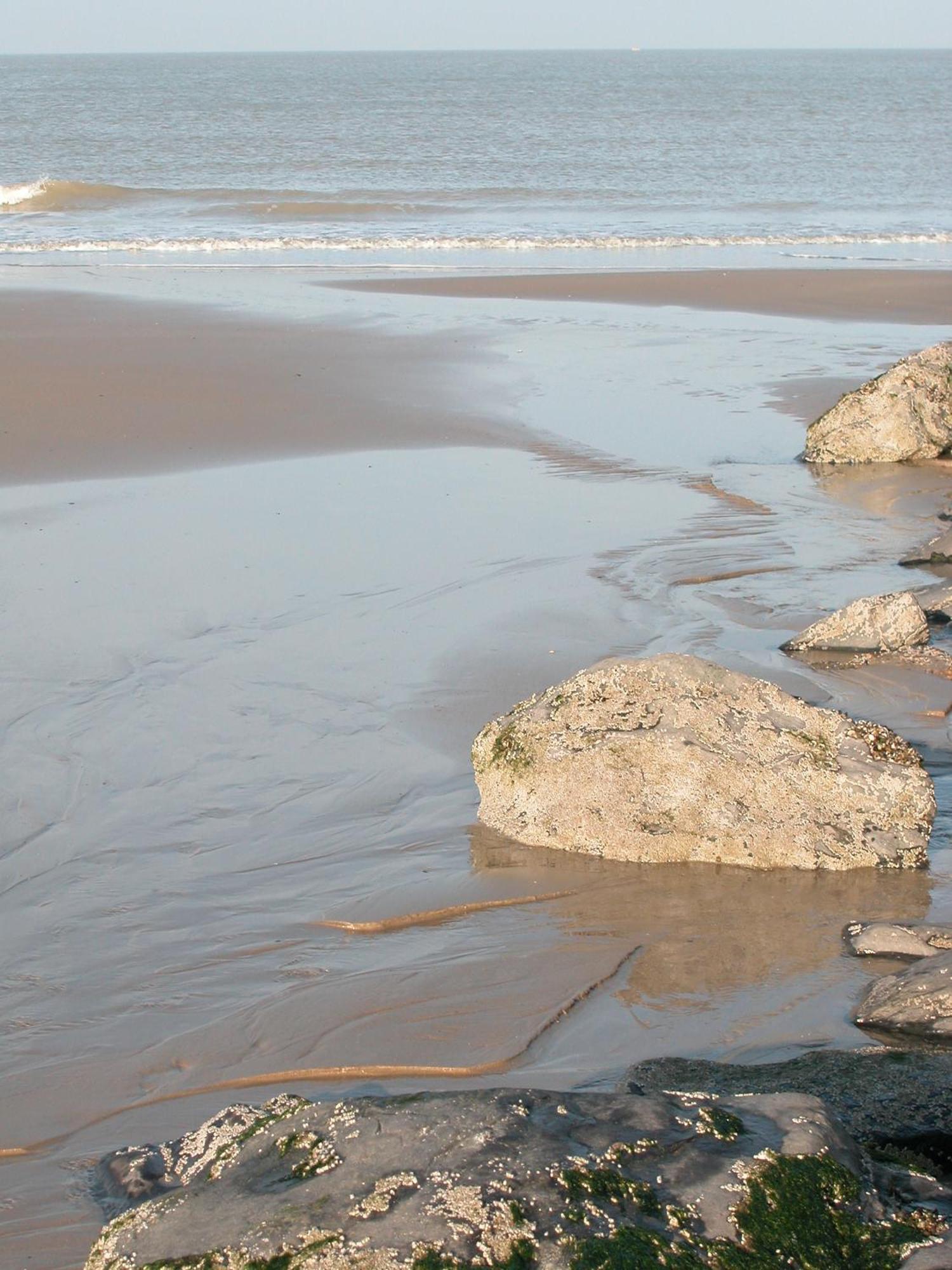 Polderlicht Bed & Breakfast Blankenberge Luaran gambar